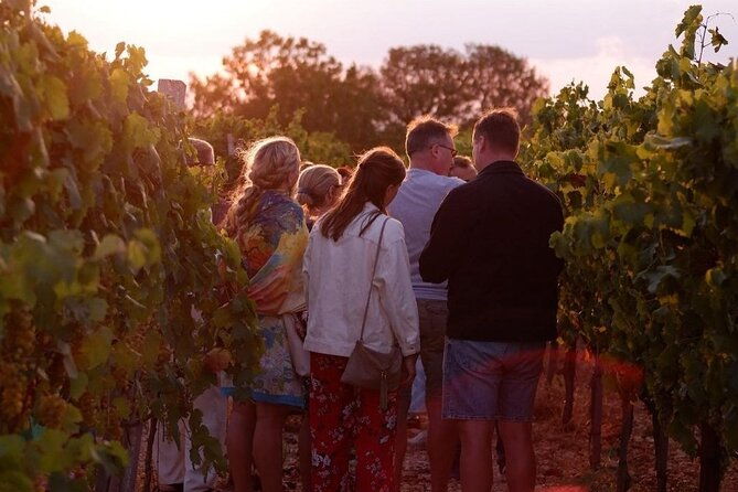 history-local-wines-amphitheater-mitrium-and-winery-visit