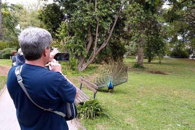 history-mistery-of-lisbon-secrets-societies-and-black-arts