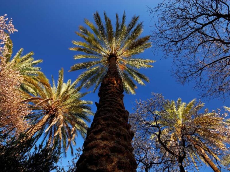 History & Nature Trail - Nakhal & Wakan Village - What to Expect on the Tour