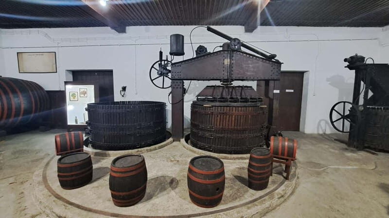 HISTORY WINE & ROYALTY (Avala mountain  Topola  Oplenac) - Key Points