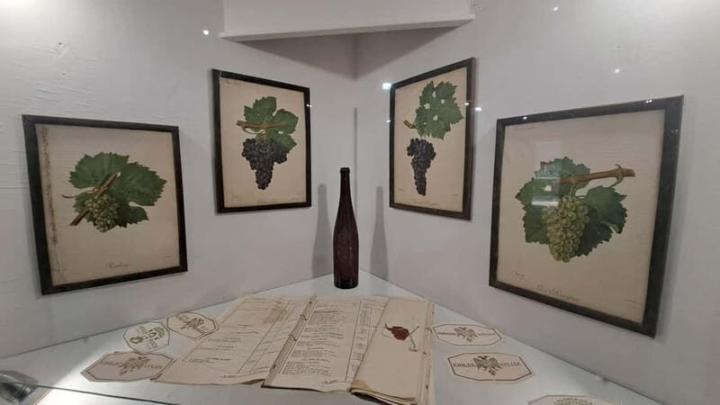 HISTORY WINE & ROYALTY (Avala mountain  Topola  Oplenac) - Who Will Love This Tour?