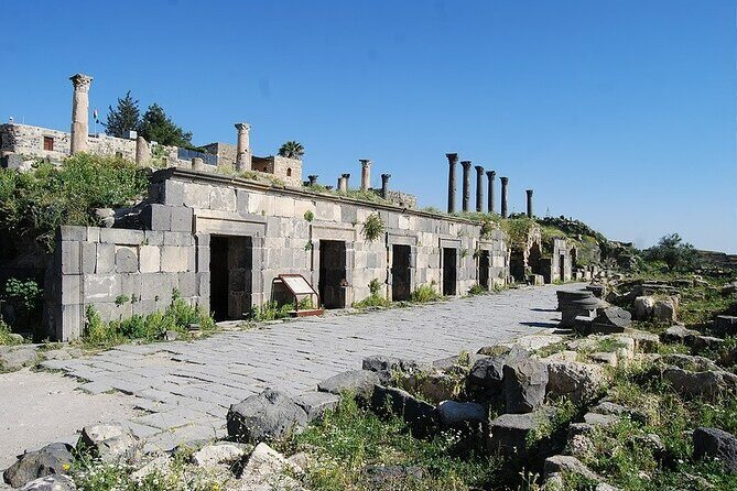 Histroy Tour in Jerash Ruins and Ajloun Castle - Transportation & Logistics