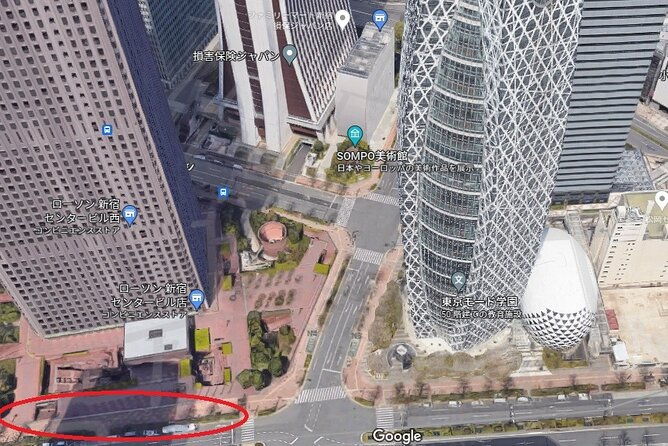 hitachi-national-seaside-parks-flowers-ashikaga-flower-park