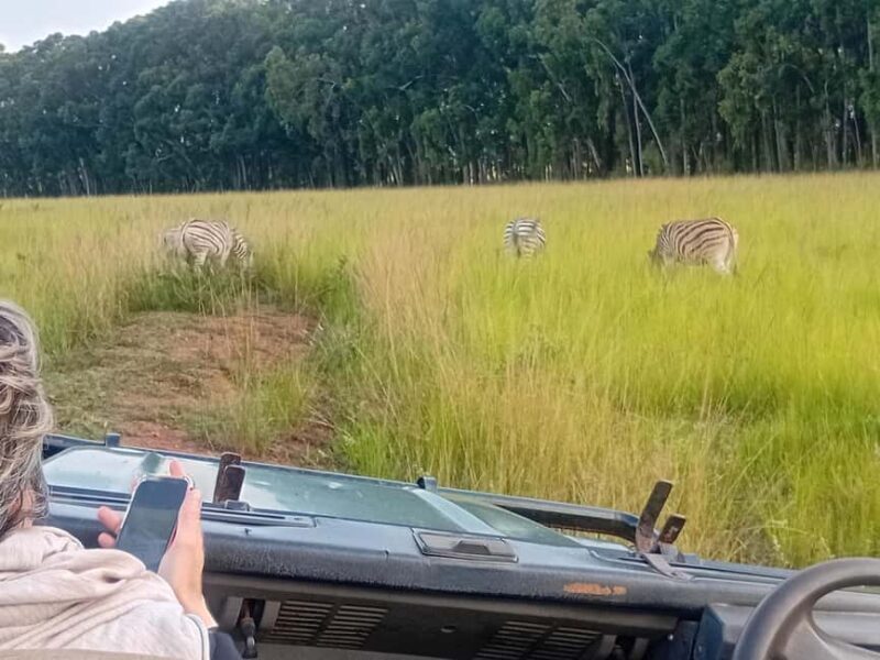 Hlane: Rhino Walk, Game Drive & Wilderness Picnic - Who Is This Tour Best For?