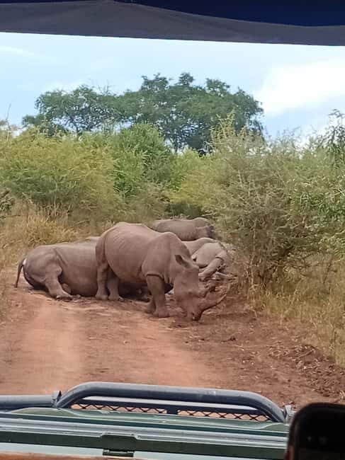 Hlane: Rhino Walk, Game Drive & Wilderness Picnic - FAQ
