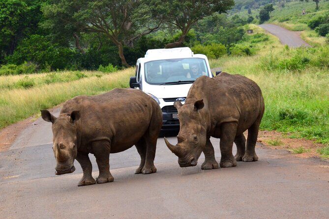 Hluhluwe and Imfolozi Safari Day Tour from Richards Bay - Key Points