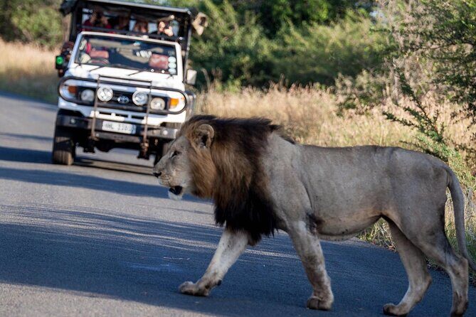 Hluhluwe Big Five Safari Richards Bay Shore Excursion - The Itinerary Breakdown