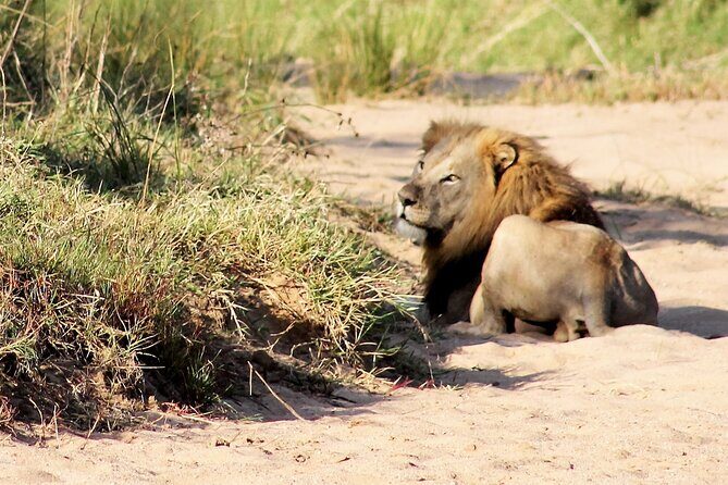 Hluhluwe Game Drive - Half day - Introduction to the Hluhluwe Game Drive