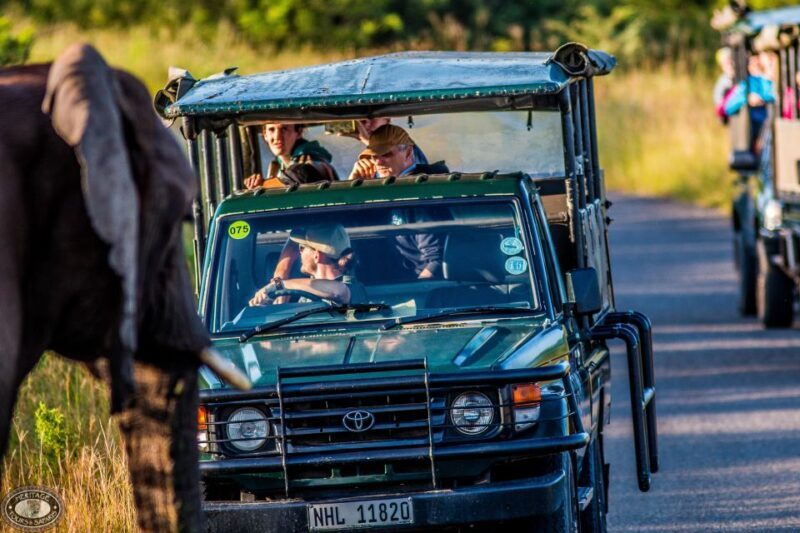 Hluhluwe-Imfolozi: Big 5 Full or Half-Day Safari - Discovering the Oldest Game Reserve in Africa