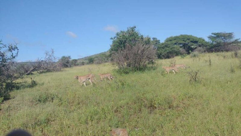 Hluhluwe Imfolozi Park and St lucia hippos cruise boat - The Itinerary: What You Can Expect