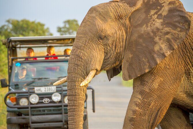 Hluhluwe-iMfolozi Park Exclusive Private Full Day Big 5 Safari - Key Points
