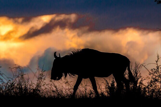 Hluhluwe-iMfolozi Park Exclusive Private Full Day Big 5 Safari - FAQ