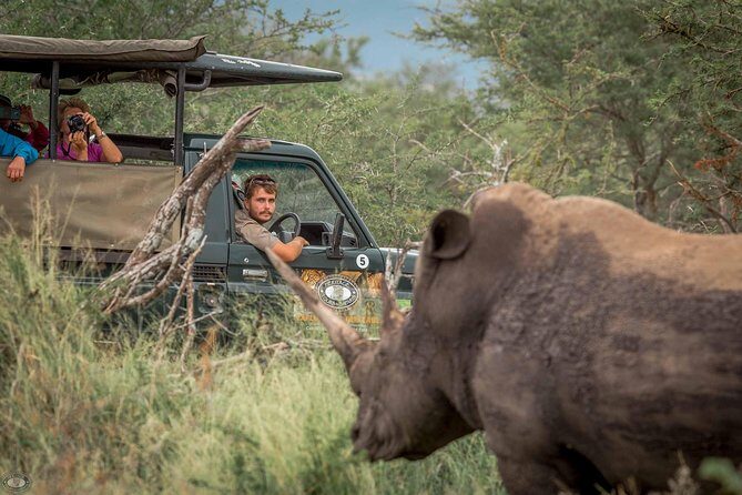 Hluhluwe-Imfolozi Park Full Day Big 5 Safari Tour - Key Points