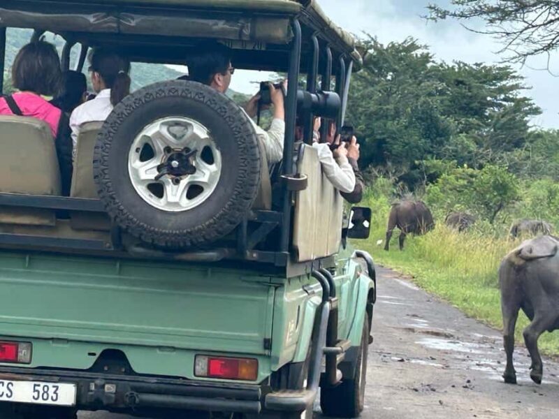Hluhluwe Imfolozi Safari including Open Vehicle Game Drive - Key Points