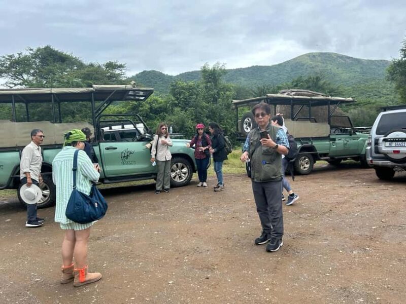 Hluhluwe Imfolozi Safari including Open Vehicle Game Drive - The Itinerary and What You’ll Experience