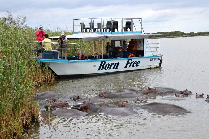 Hluhluwe Imfolozi Safari & St Lucia Boat Safari Day Tour from Durban - Stop 1: iSimangaliso Wetland Park (2-Hour Boat Safari)