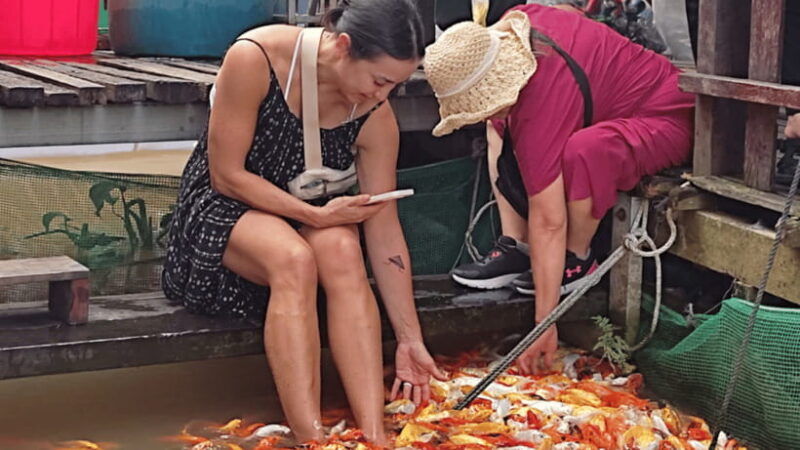 ho-chi-minh-2-day-authentic-mekong-delta-can-tho-no-shop