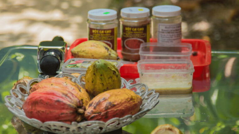 ho-chi-minh-2-day-authentic-mekong-delta-can-tho-no-shop