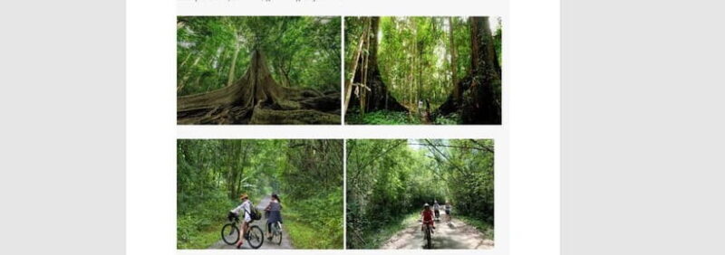 Ho Chi Minh: 2 Days Private Nam Cat Tien National Park - Things to Keep in Mind
