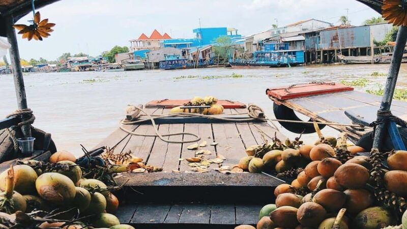 ho-chi-minh-city-2-day-mekong-delta-tour-with-accommodation