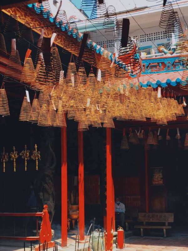 ho-chi-minh-city-afternoon-tour-saigons-cultural-heart