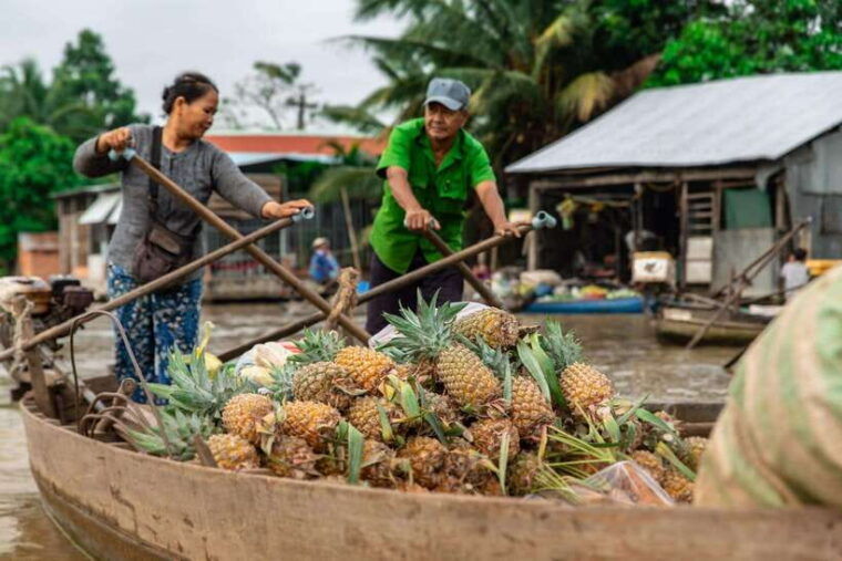 ho-chi-minh-city-cai-rang-floating-market-in-can-tho-tour
