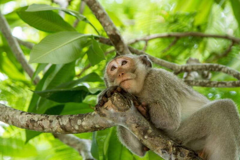 ho-chi-minh-city-can-gio-eco-escape-and-wildlife-discovery