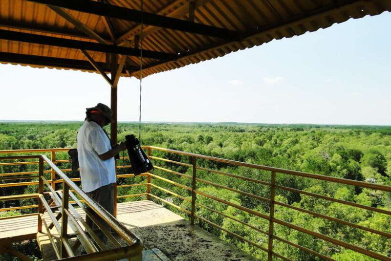 ho-chi-minh-city-can-gio-eco-escape-and-wildlife-discovery