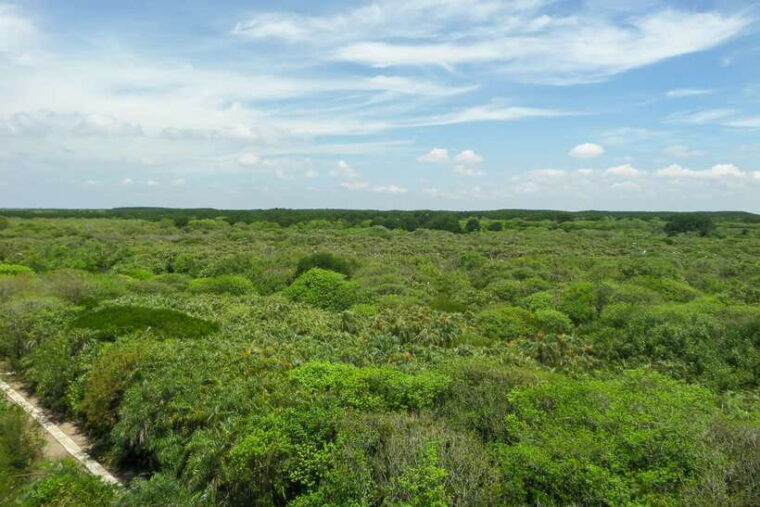 ho-chi-minh-city-can-gio-eco-escape-and-wildlife-discovery