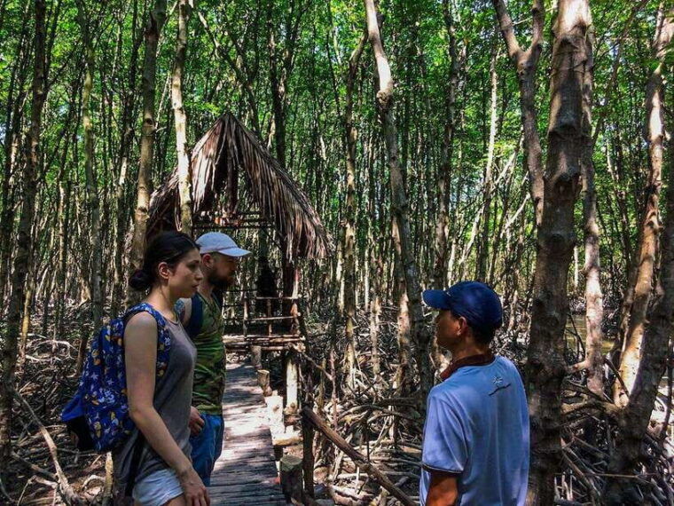 ho-chi-minh-city-can-gio-eco-escape-and-wildlife-discovery