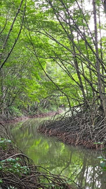 Ho Chi Minh City: Can Gio Mangrove & Wildlife Speedboat Tour - Key Points