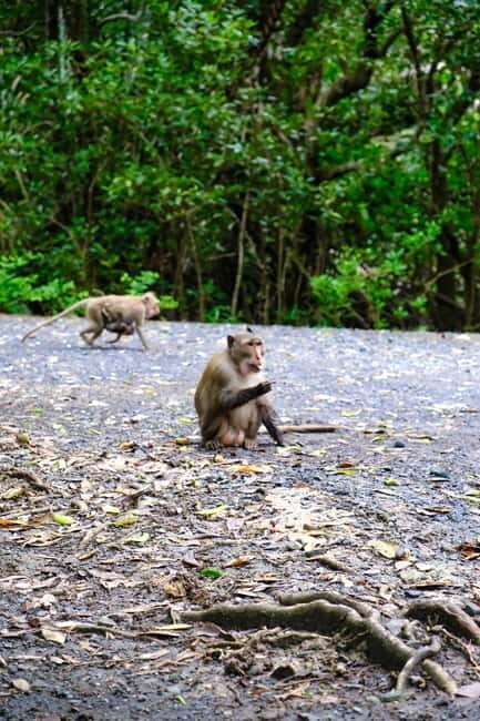 Ho Chi Minh City: Can Gio Mangrove & Wildlife Speedboat Tour - Detailed Insights into the Experience