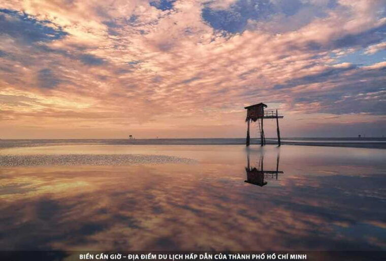 ho-chi-minh-city-can-gio-monkey-island-day-trip-with-lunch-3