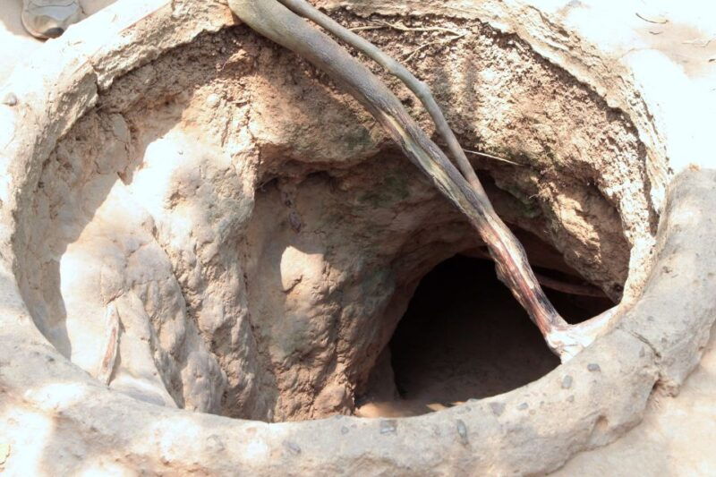 ho-chi-minh-city-cu-chi-tunnels-tour-2