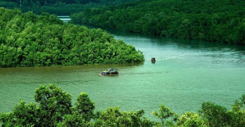 ho-chi-minh-city-explore-eco-tour-can-gio-mangrove-forest