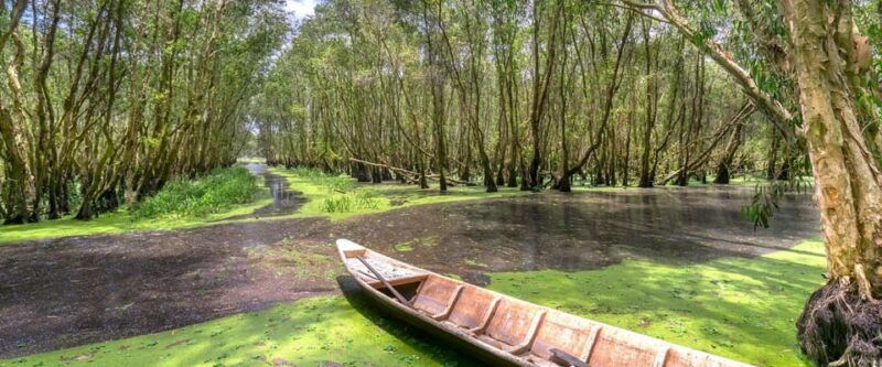 ho-chi-minh-city-explore-eco-tour-can-gio-mangrove-forest