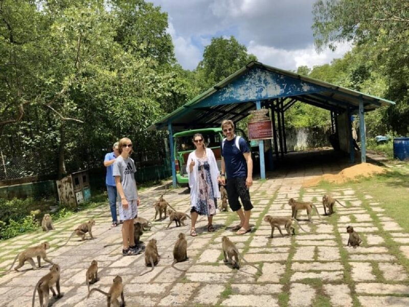 ho-chi-minh-city-explore-eco-tour-can-gio-mangrove-forest