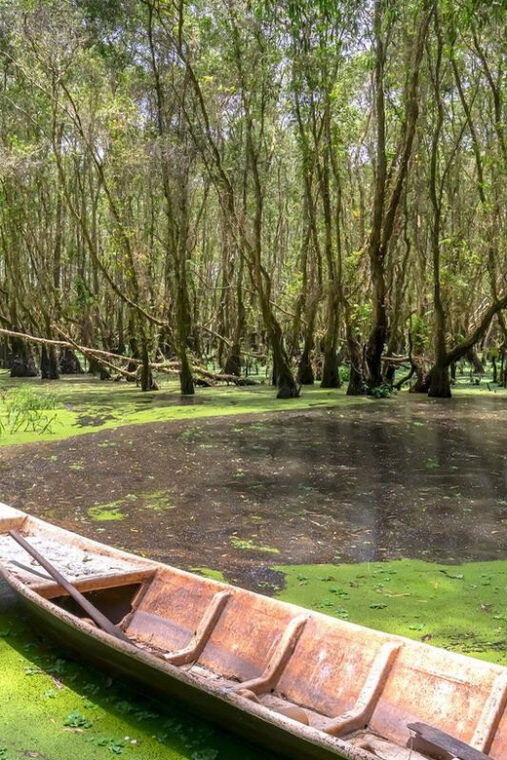 ho-chi-minh-city-explore-eco-tour-can-gio-mangrove-forest