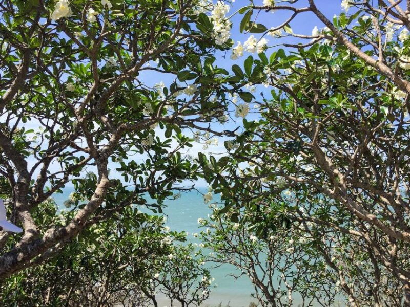 ho-chi-minh-city-full-day-vung-tau-coastal-escape