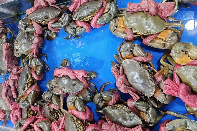 Ho Chi Minh City Jeep Adventure: Highlights And Hidden Gems - The Sum Up