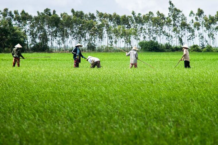 ho-chi-minh-city-mekong-delta-full-day-speedboat-tour