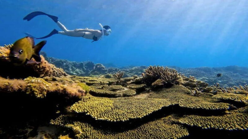 Ho Chi Minh City: Phu Quy Island 2-Day Tour with Meals - Practical Tips for Making the Most of Your Trip