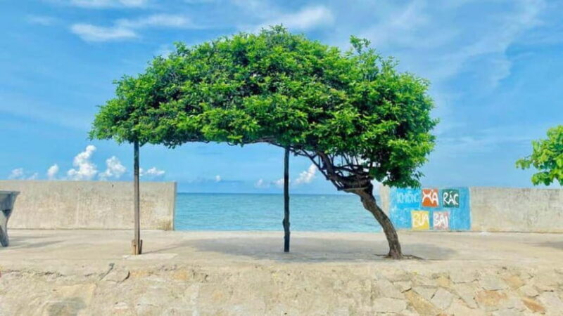 Ho Chi Minh City: Phu Quy Island 2-Day Tour with Meals - Who Will Appreciate This Tour