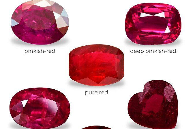 Ho Chi Minh City Shopping Experience Shore Excursion from Saigion - A Closer Look at the Itinerary and Highlights