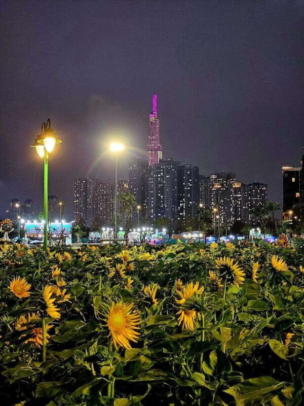 Ho Chi Minh City Sightseeing Full Day Private Tour - A Closer Look at the Ho Chi Minh City Full Day Private Tour