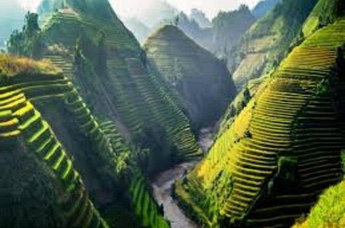 Ho Chi Minh City Tour 14 Days - Who Is This Tour Best Suited For?