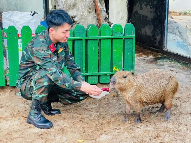 Ho Chi Minh City: Zoo & History Museum Guided Tour - The Experience at the Zoo & Botanical Gardens
