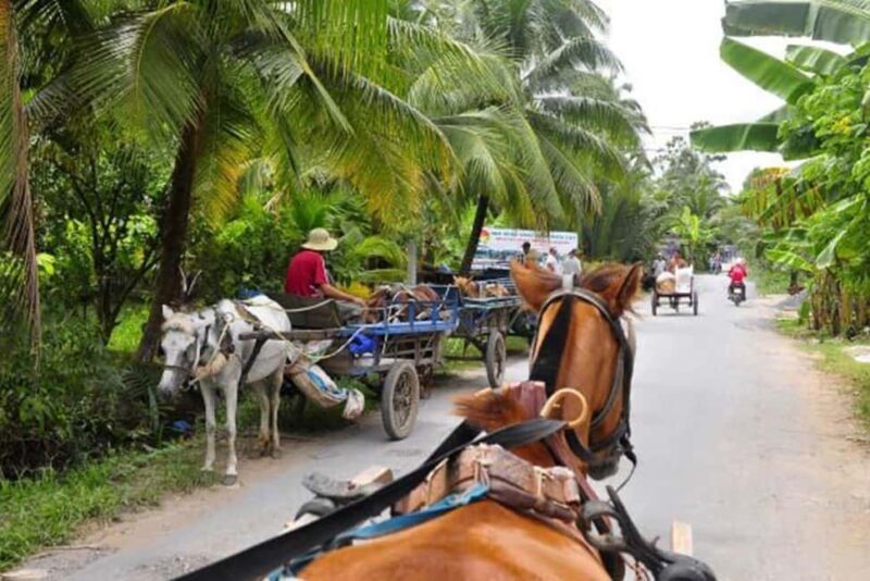 Ho Chi Minh Daily Tour: Full Day Mekong Delta (Private tour) - Why You Should Consider This Tour
