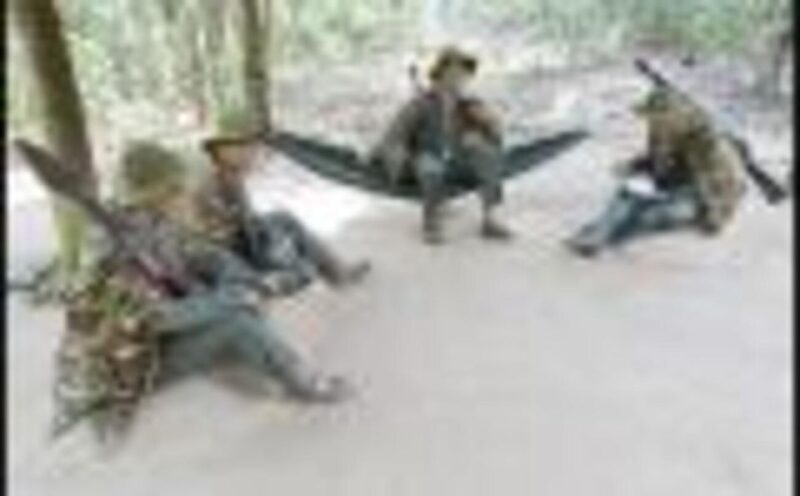 Ho Chi Minh: Discover Cu Chi Tunnels Half-Day Tour - What Travelers Say