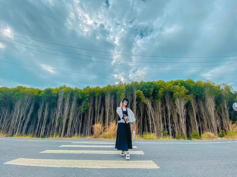 ho-chi-minh-explore-can-gio-mangrove-forest-monkey-island